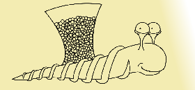 logo ślimak